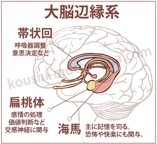 気功 望永航史